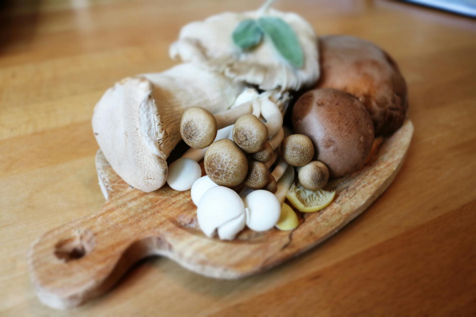 Les champignons : vos partenaires pour une digestion optimale