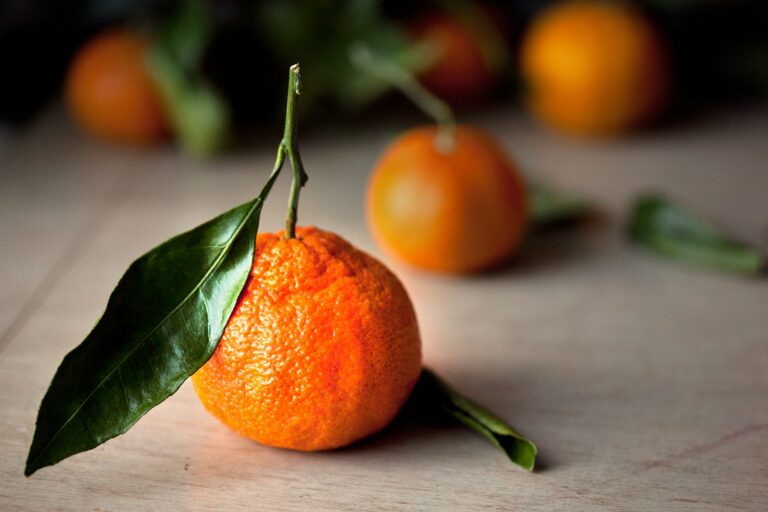 Article | Quelles différences entre clémentines et mandarines ?