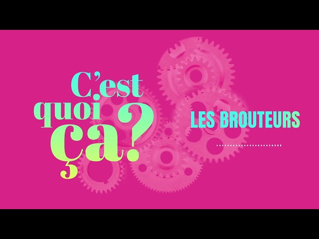 C’est quoi ça, les brouteurs ?