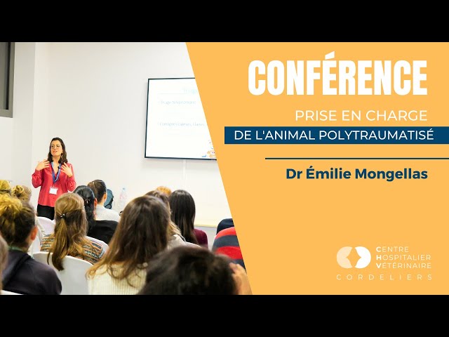 Animal polytraumatisé