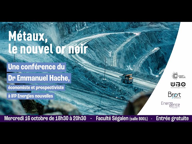 Les métaux, le nouvel or noir