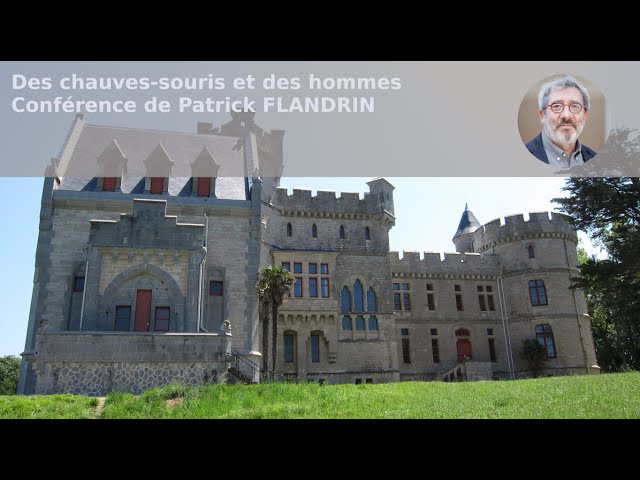 Des chauves-souris et des hommes