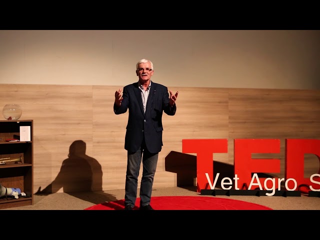 Les vétérinaires face à leurs questionnements éthiques