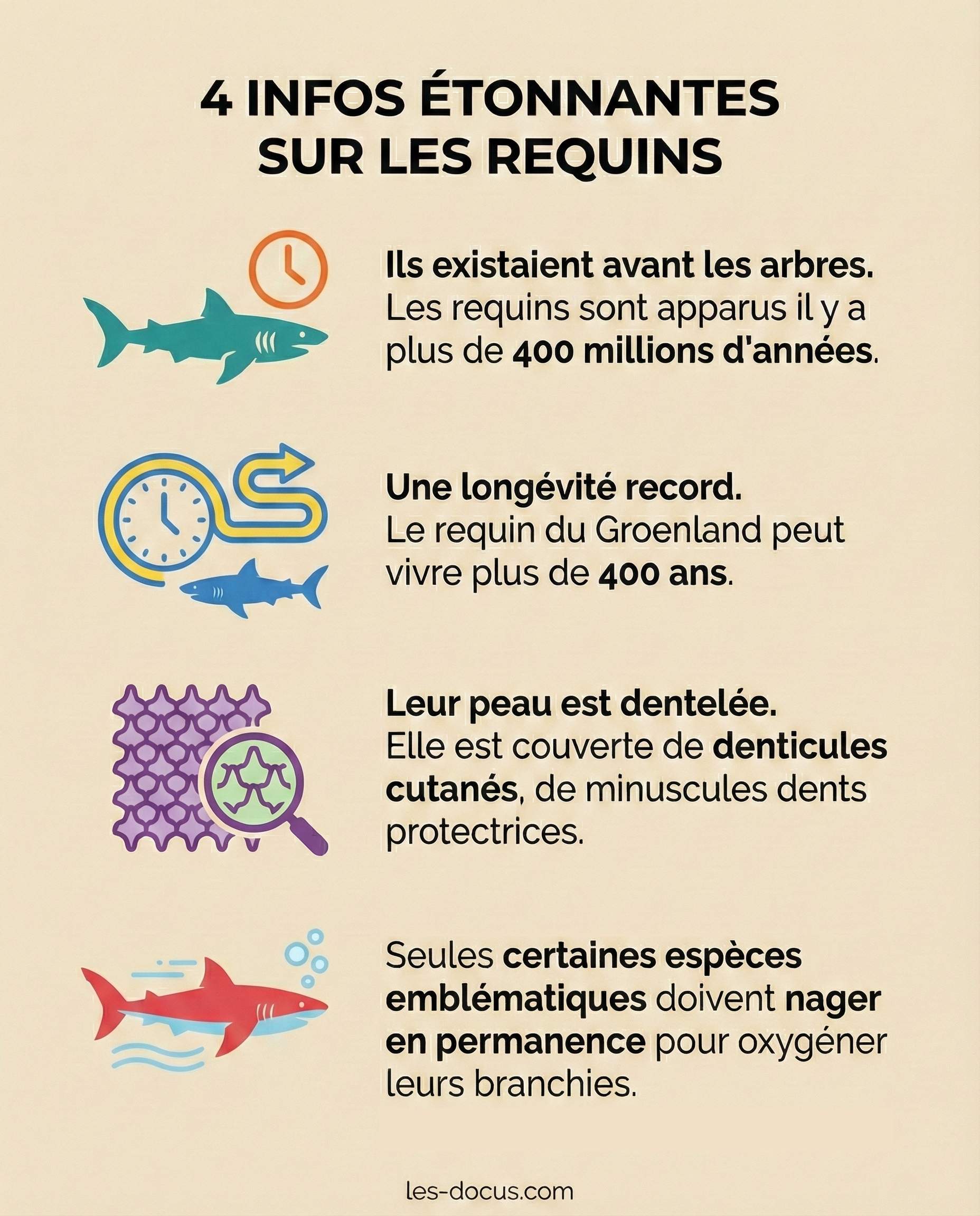 4 infos étonnantes sur les requins