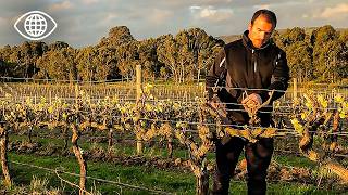 Australie : dans les caves mythiques des plus grands vins du pays