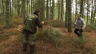 Cèpes & morilles : le business de l&rsquo;or blanc en France