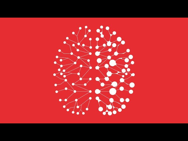 C&rsquo;est (pas) toi, c&rsquo;est ton cerveau !