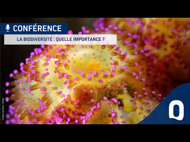 La biodiversité : quelle importance ?