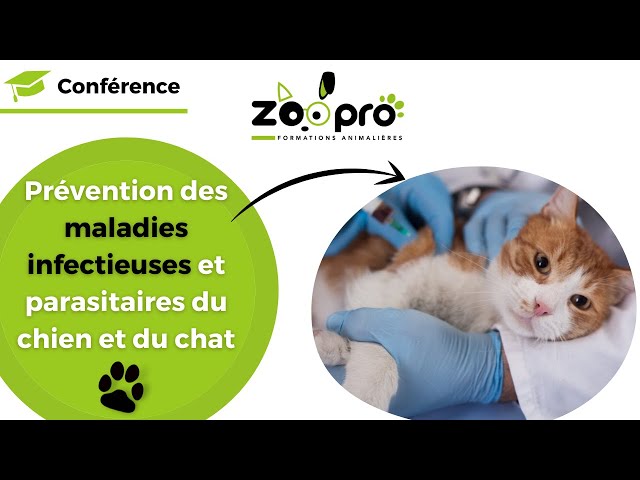 Prévention des maladies infectieuses et parasitaires du chien et du chat