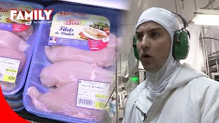 Derrière le poulet low cost, une réalité glaçante