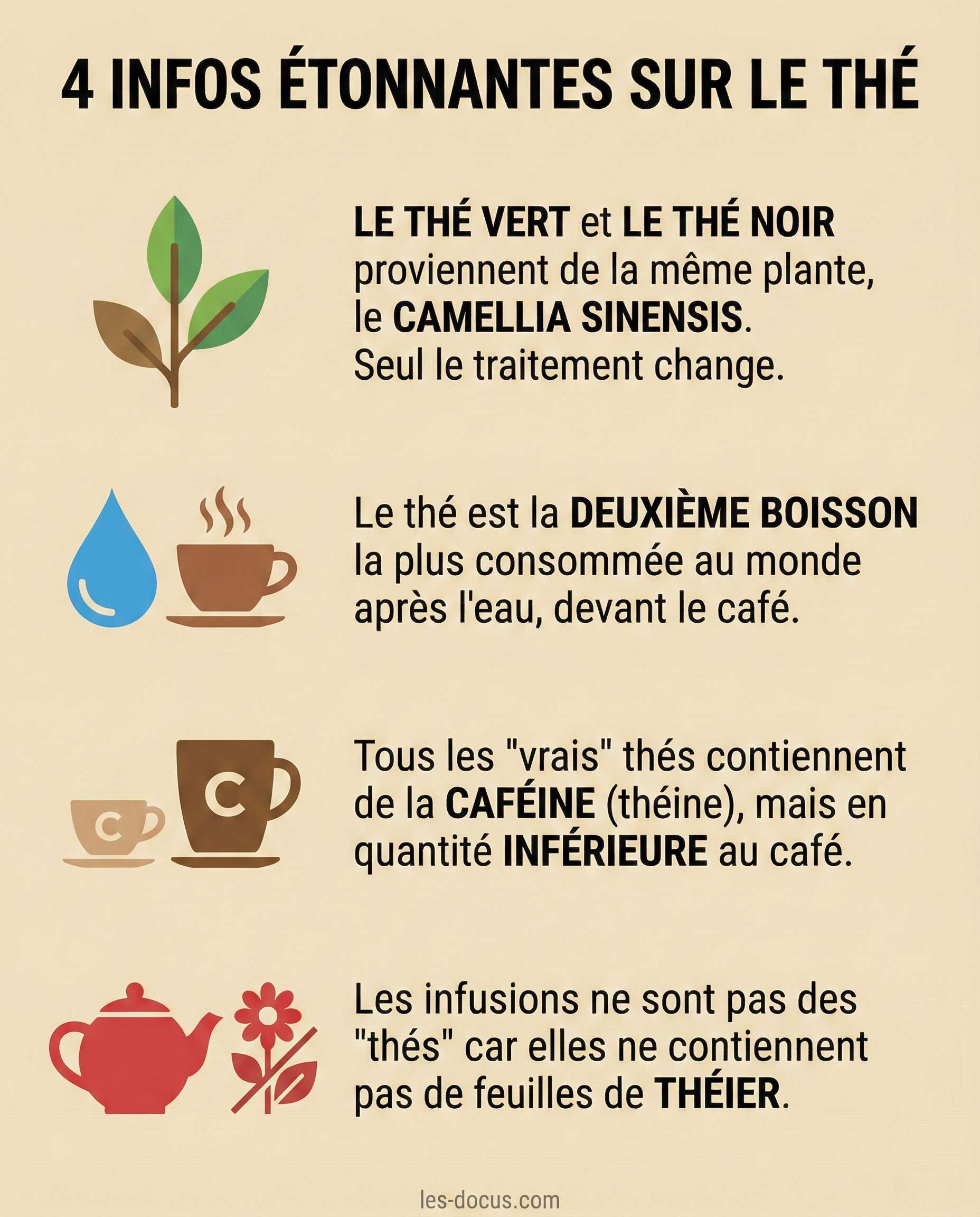 4 infos étonnantes sur le thé