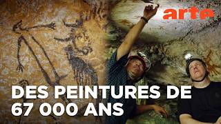 Ils ont découvert les plus vieilles peintures de l&rsquo;humanité à Sulawesi