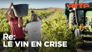 Le vin sans alcool au secours des vignerons