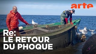Les pêcheurs face aux phoques de la Baltique