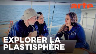 Plastique et vie marine : une cohabitation à la dérive