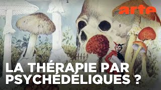 Psychédélique – La science des expériences mystiques