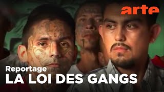 Salvador : un état sous contrôle