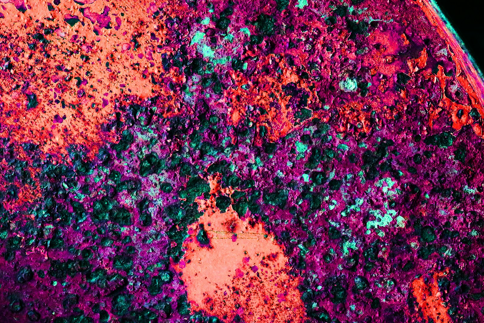 La coqueluche : une pathologie respiratoire persistante et contagieuse