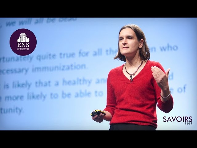 Égalité des sexes et développement économique