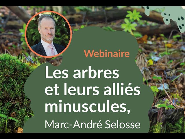 Les arbres et leurs alliés minuscules