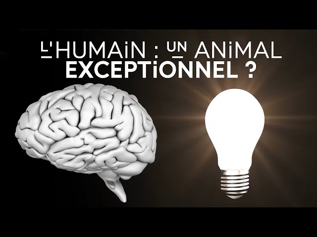 L&rsquo;humain est-il parfait ?