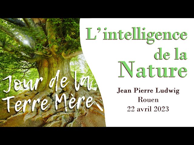 L&rsquo;intelligence de la Nature