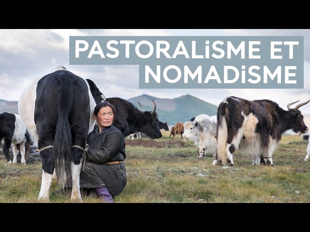 Pastoralisme nomade : un mode de vie ancestral en train de disparaître ?