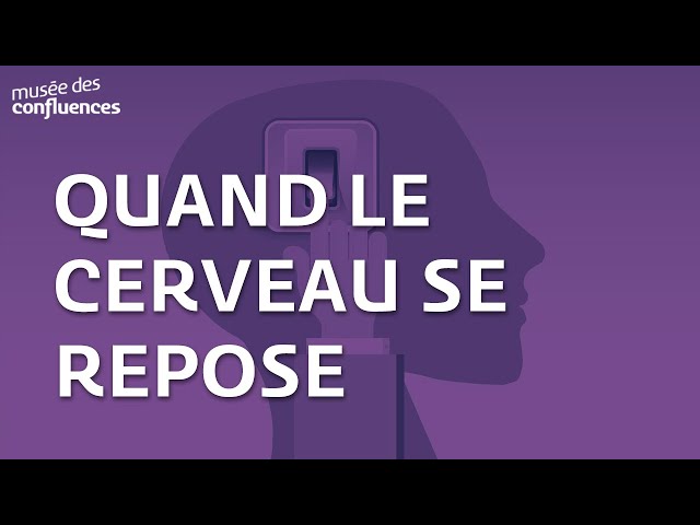 Quand le cerveau se repose