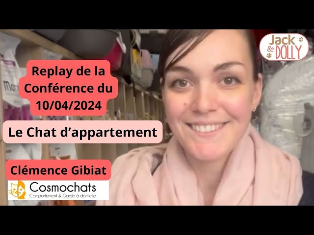 Le chat d&rsquo;appartement