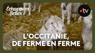L&rsquo;Occitanie, de ferme en ferme