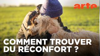 Le réconfort : quel soutien quand tout va mal ?