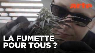Légaliser le cannabis : une fausse bonne idée ?