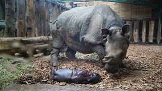 Les coulisses du zoo de Cerza
