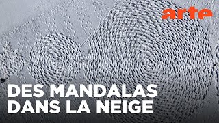 Magnifique ! La beauté de l&rsquo;art éphémère