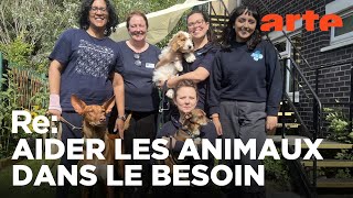 Pauvres maîtres, pauvres bêtes !