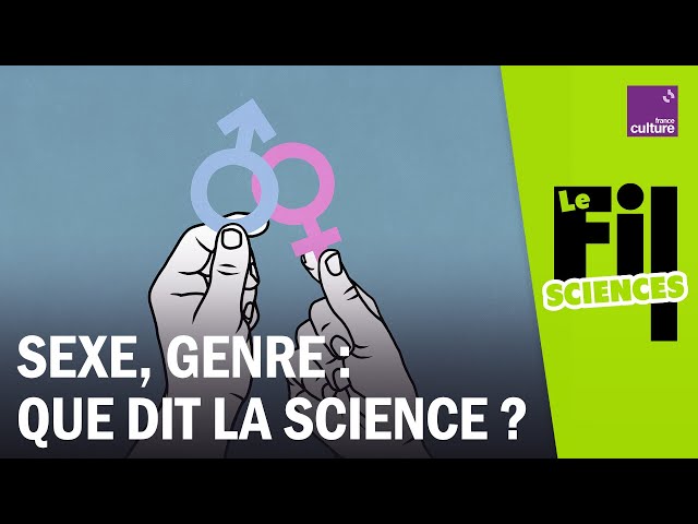 Sexe et genre, quand la science questionne nos certitudes