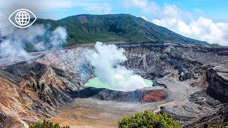 Volcans, biodiversité, énergie verte : le secret écologique du Costa Rica
