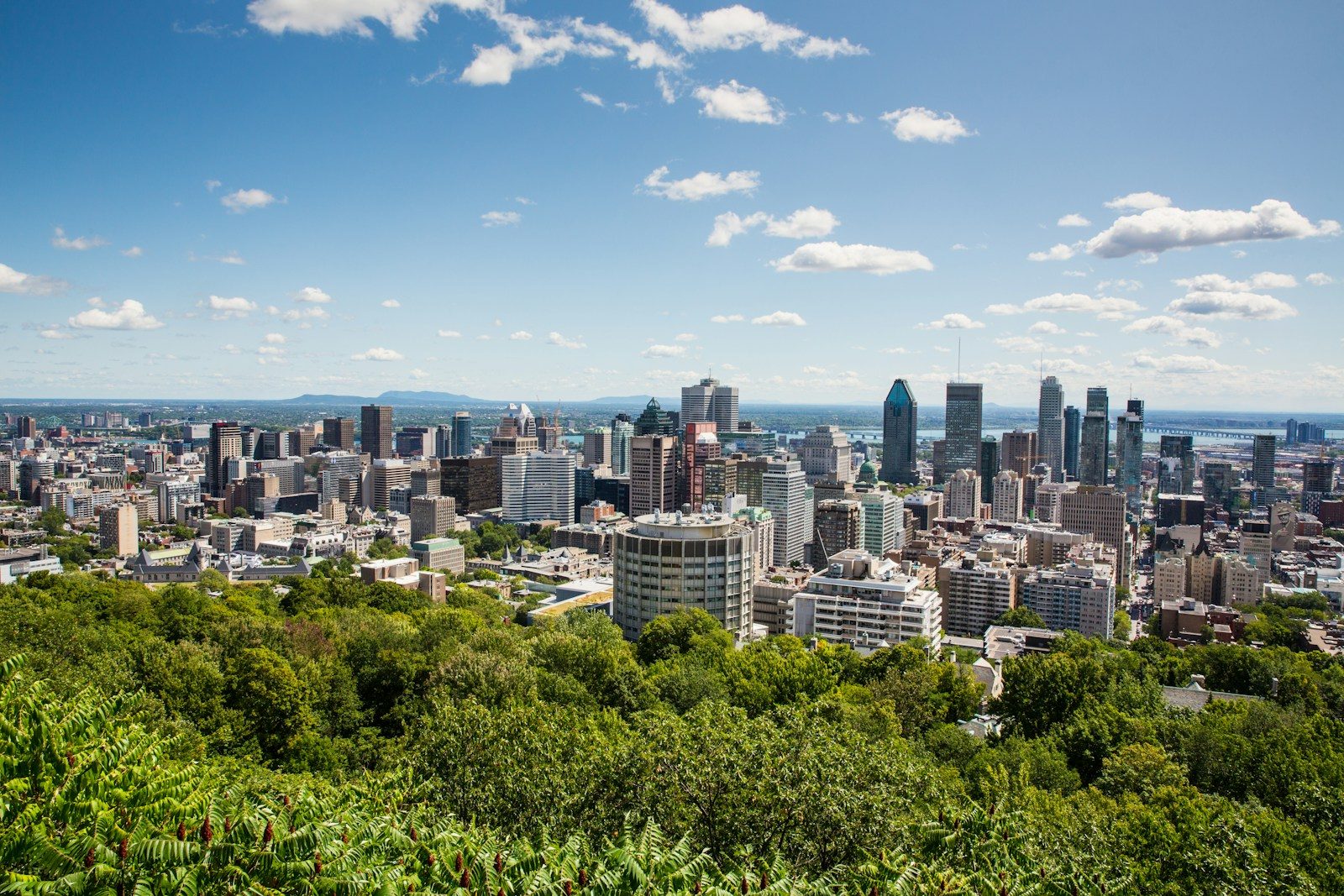 Que faire à Montréal ? 7 activités incontournables