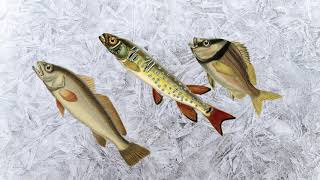 Les glacières d’altitude