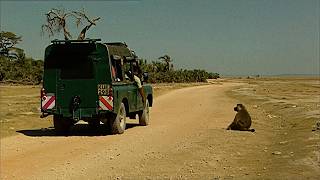 Kenya : le plus grand safari d&rsquo;Afrique