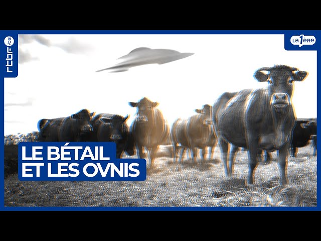 Le bétail et les OVNIS : événements étranges des années 60 et 70