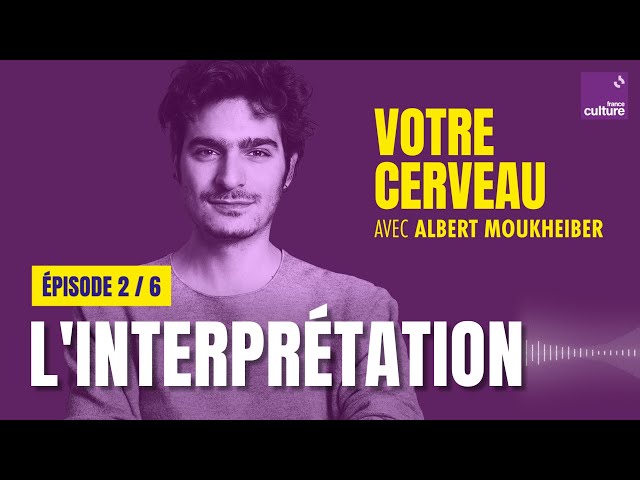 Votre cerveau stabilise l&rsquo;ambiguïté : l&rsquo;interprétation