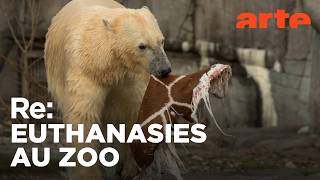Zoos : la gestion des animaux en question