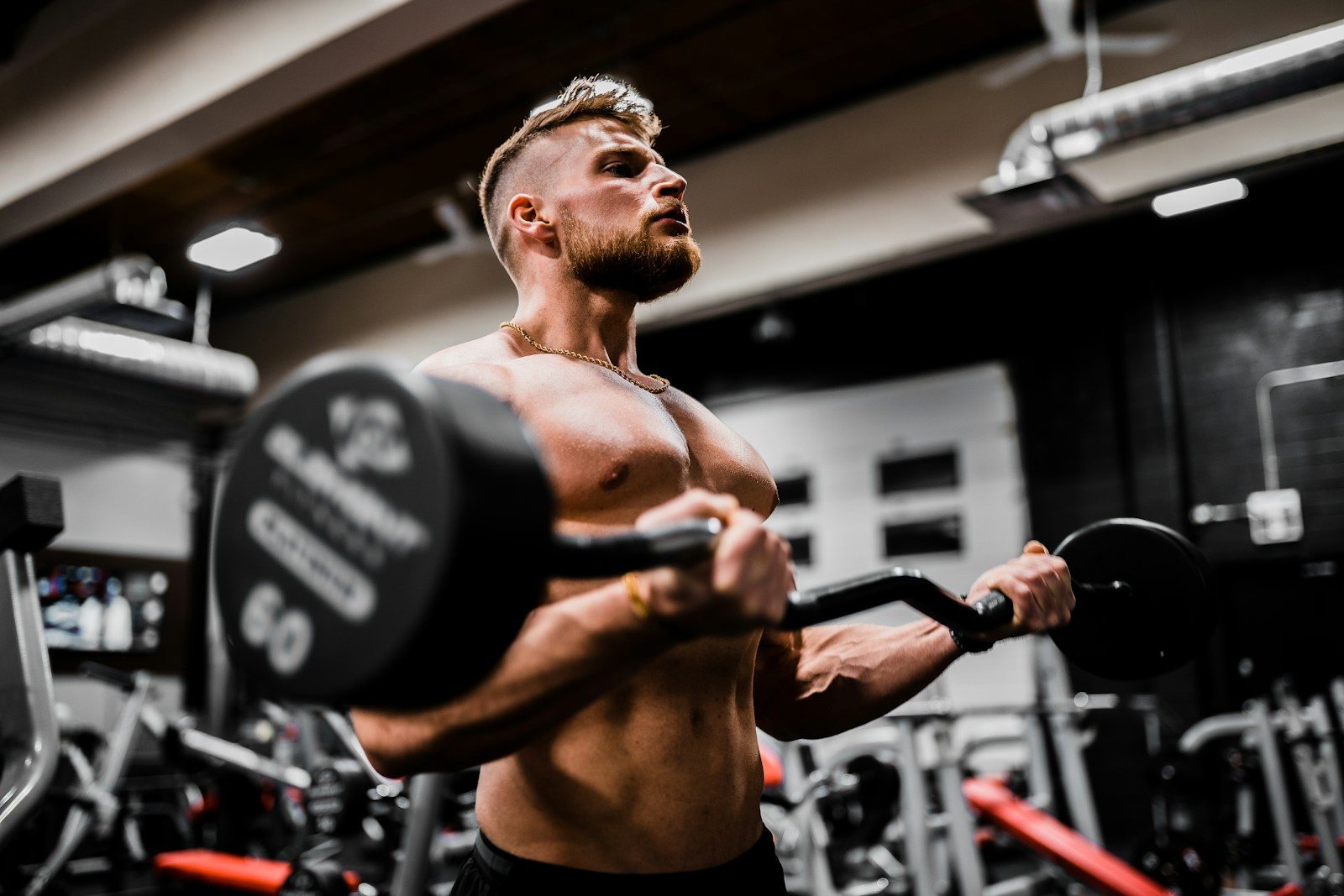 Bois band&eacute; : un booster naturel de testost&eacute;rone pour la musculation et la performance
