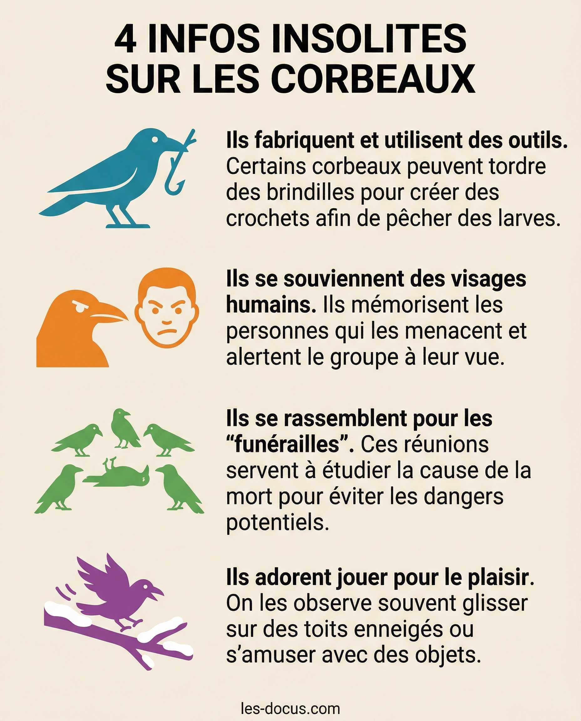 4 infos insolites sur les corbeaux
