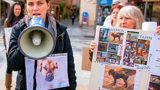 Arrachages en pleine rue, alerte aux vols de chiens