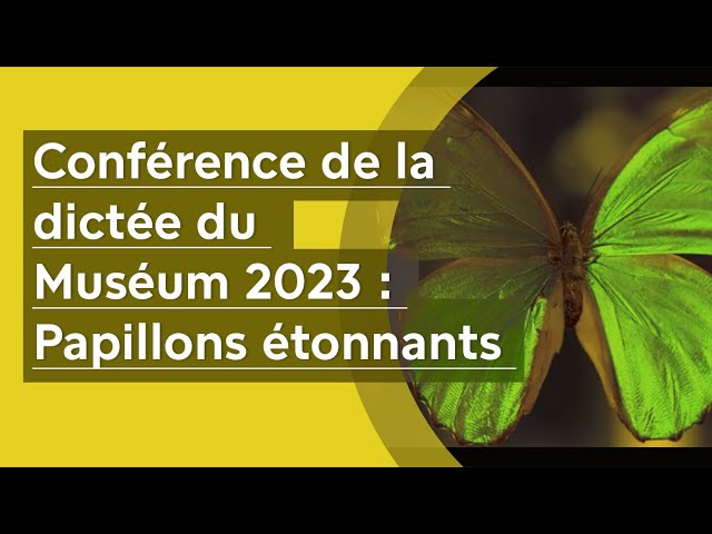 Papillons étonnants