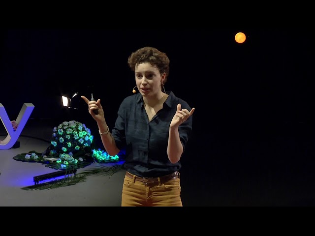 Du labo à la rando: voyage dans la transparence des ailes de papillons