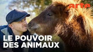 Des âmes sœurs ? Pourquoi les animaux nous font du bien