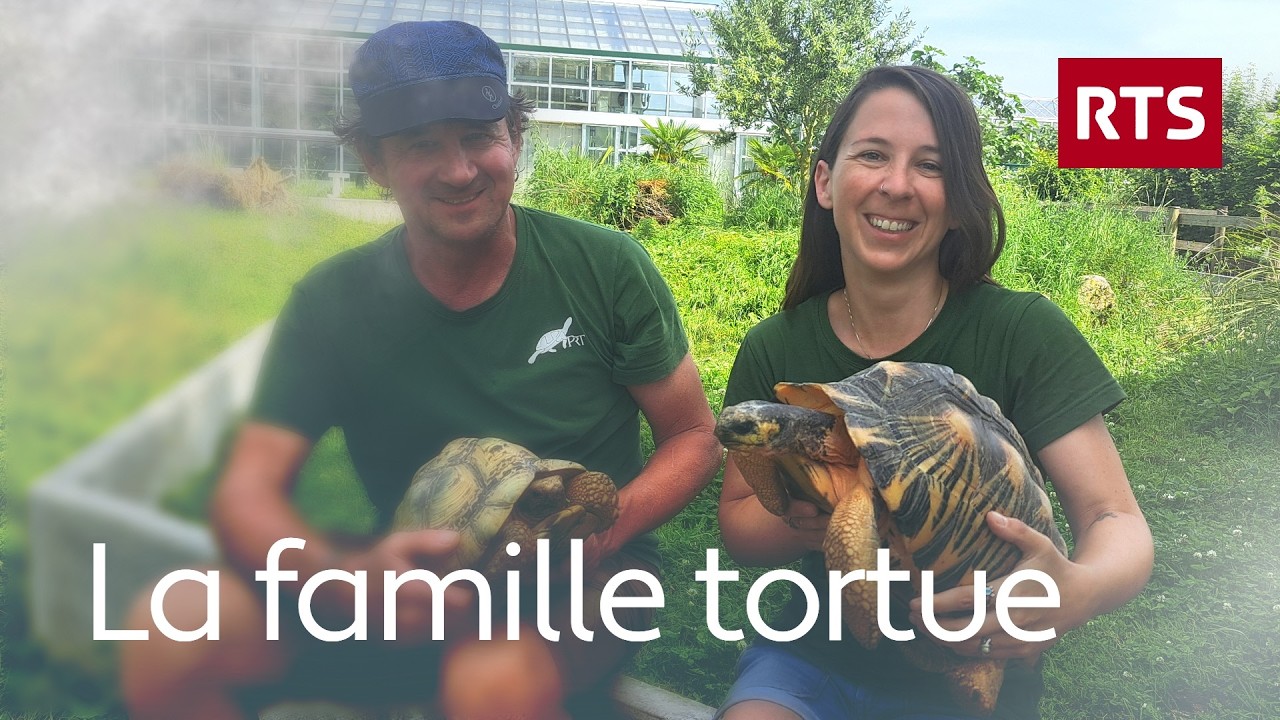 Ils sauvent les tortues depuis 30 ans, leur sanctuaire compte 90 espèces